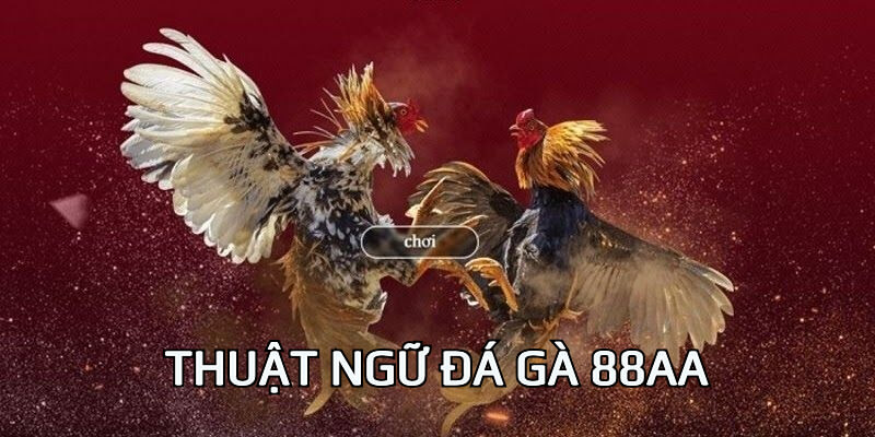 thuật ngữ đá gà 88aa